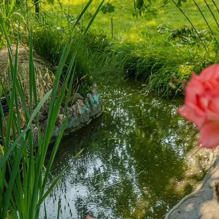 Il Laghetto 1 Bettona